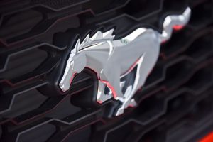 mustang_0186_880x500
